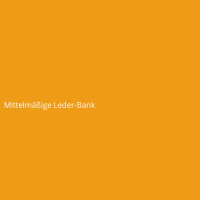Mittelmäßige Leder-Bank