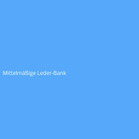 Mittelmäßige Leder-Bank