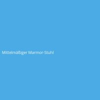Mittelmäßiger Marmor-Stuhl