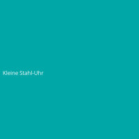Kleine Stahl-Uhr