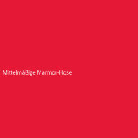 Mittelmäßige Marmor-Hose