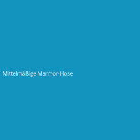 Mittelmäßige Marmor-Hose